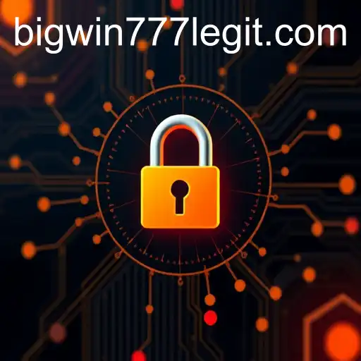 Understanding Privacy Policies: The Case of Bigwin777